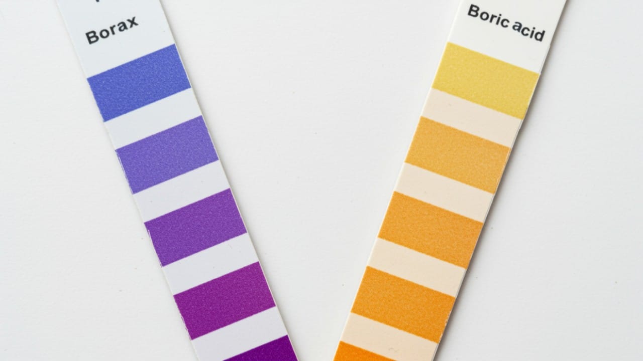 Two test strips comparing the high pH of sodium borate against the neutral pH of boric acid.