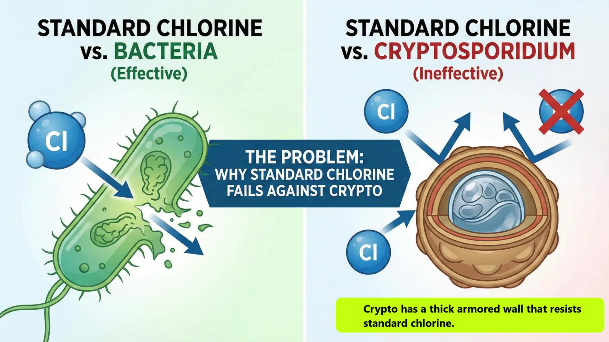 Infographic showing why standard chlorine fails against Crypto. Left side: Chlorine destroys bacteria. Right side: Chlorine bounces off the thick, resistant wall of a Crypto oocyst.