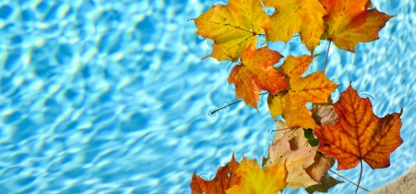 Leaves and organic matter floating in the pool water which increase chlorine demand, often mistaken for chlorine lock.