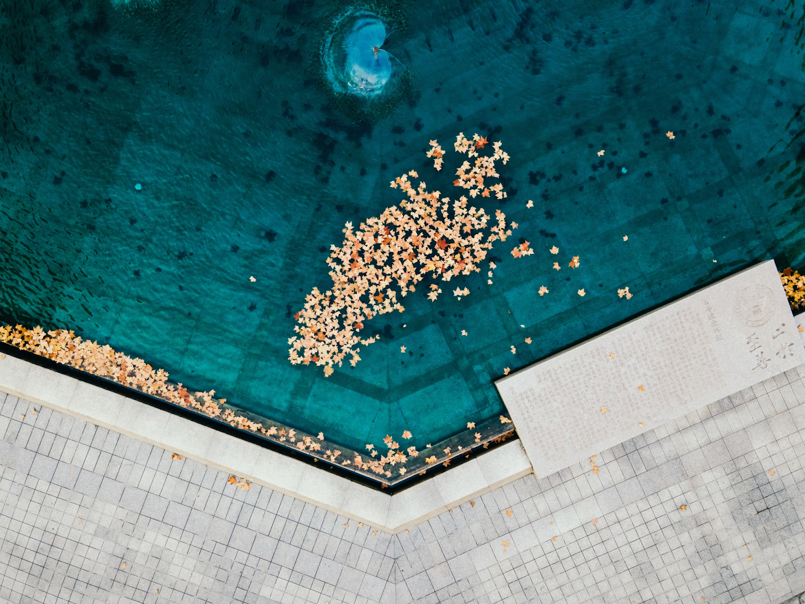 Top view of pool with leaves and hidden dirt