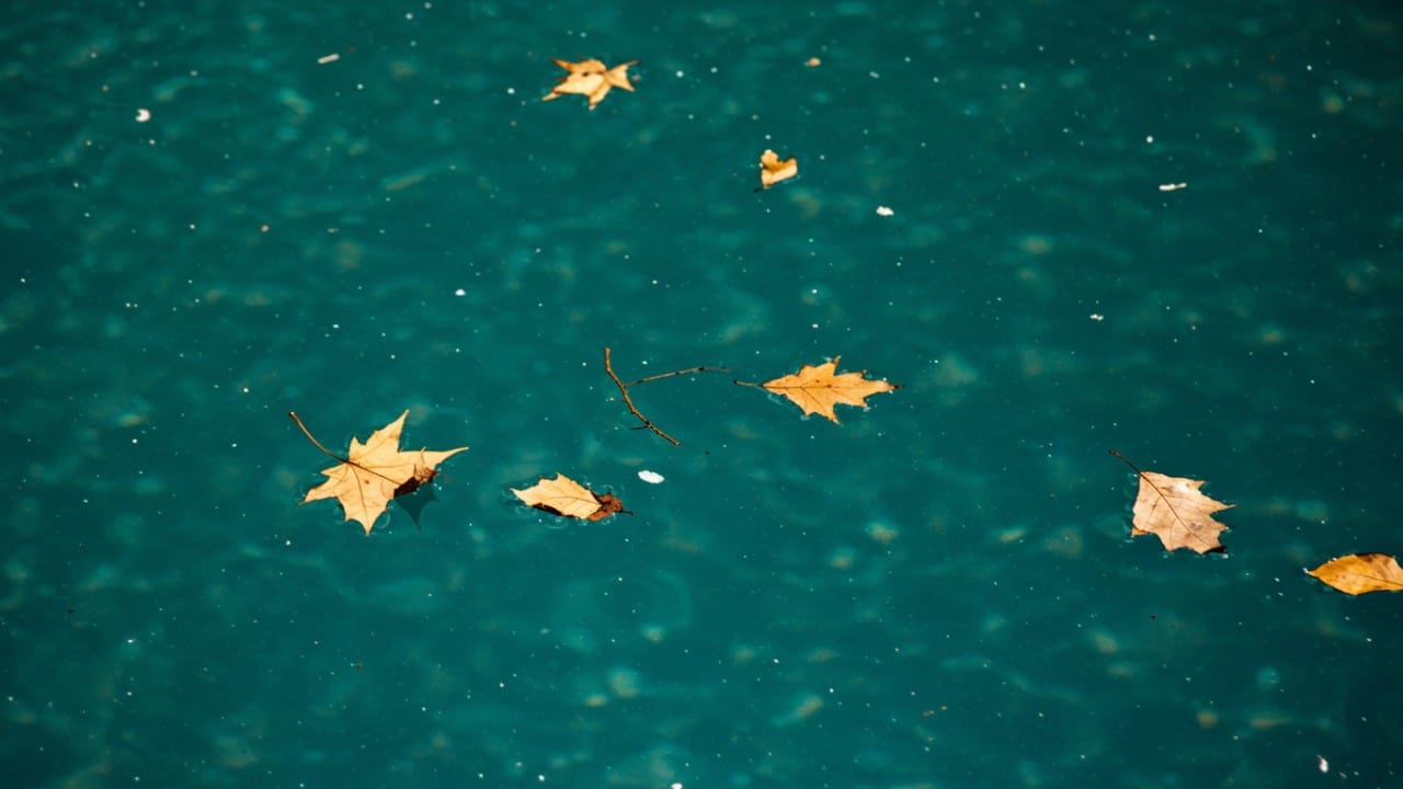large pool surface with debris requiring extensive cleaning