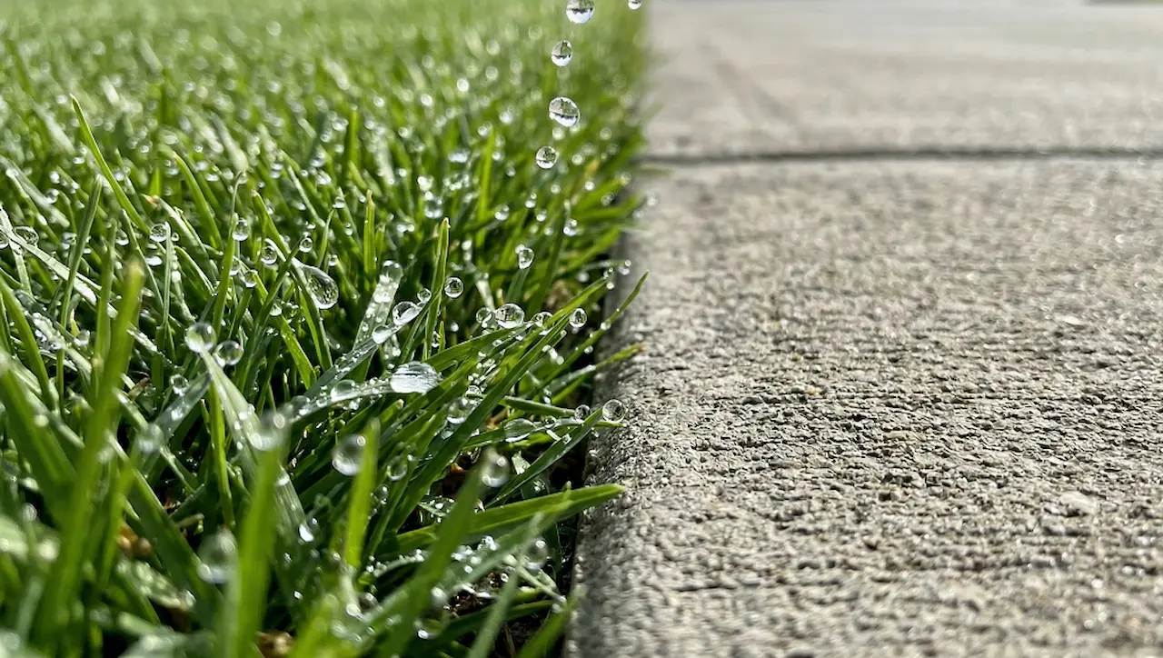 Water droplets landing precisely on grass next to a dry driveway, showing accurate sprinkler boundary control