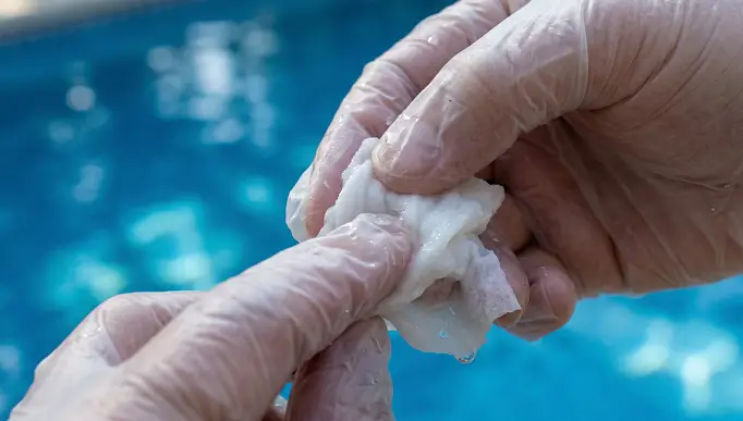 Gloved hand pressing slimy white water mold flakes to perform the squish test.