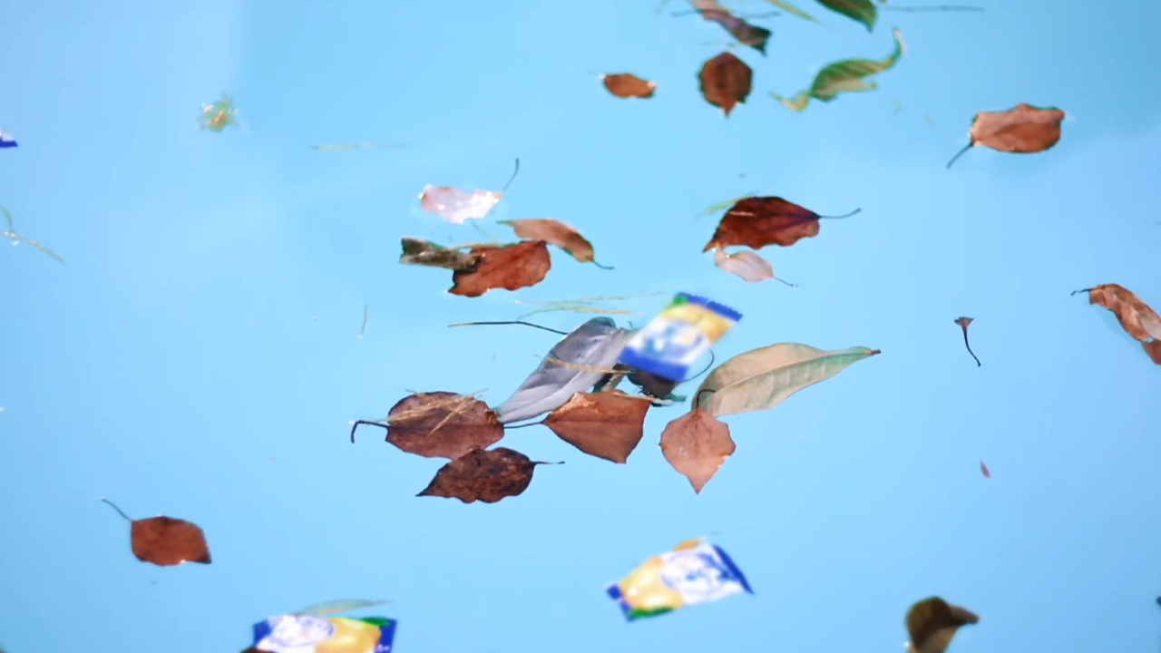 leaves and debris on the pool water surface