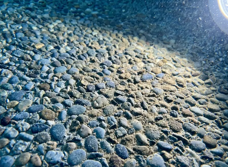 Fine dust and silt trapped in Pebble Tec’s textured crevices.