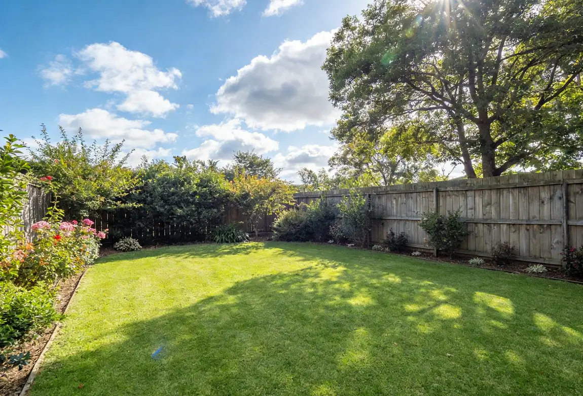 Well-maintained vibrant green Australian backyard lawn bathed in sunlight.