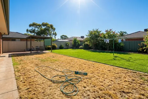 A split view of a dry patchy Australian lawn versus lush green grass under summer sun highlighting watering mistakes.